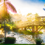 1o lugar Jardim Botânico