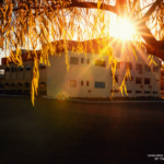 1o lugar Parque Central