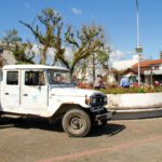 Manutenção canteiros do Parque Central (8) – Waldemar Neto