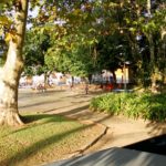 PARQUE DE SAÚDE – CAPITAIS – Waldemar Neto