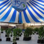 Entrega mudas frutíferas – Daiane de Souza (4)