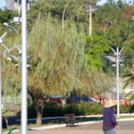 LUZES PARQUE CENTRAL – WALDEMAR NETO (3)