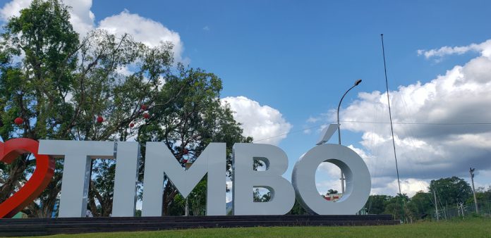 ÁRVORE NATAL 30 METROS - WALDEMAR NETO (4)