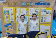 Timbó tem dois projetos classificados para a 40ª Feira Catarinense de Matemática