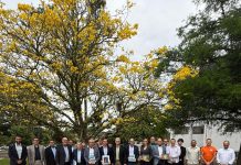 Prefeitos alemães visitam Timbó em agenda de cooperação internacional