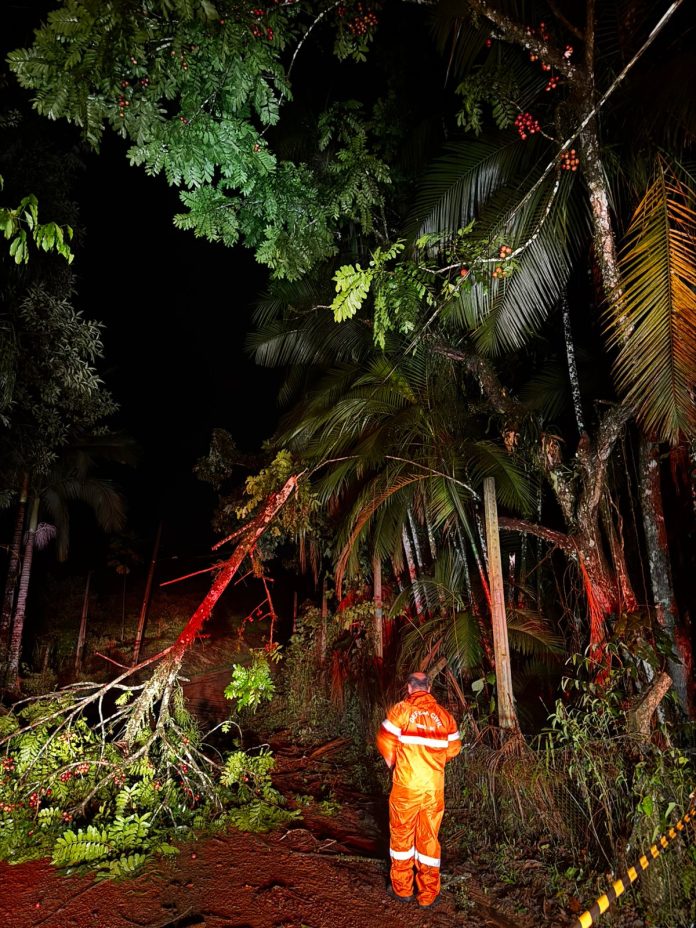 WhatsApp Image 2025-12-28 at 10.40.47