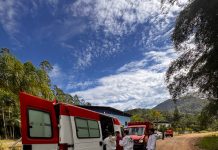 Defesa Civil de Timbó atende ocorrência de ataque de abelhas na localidade da Mulde
